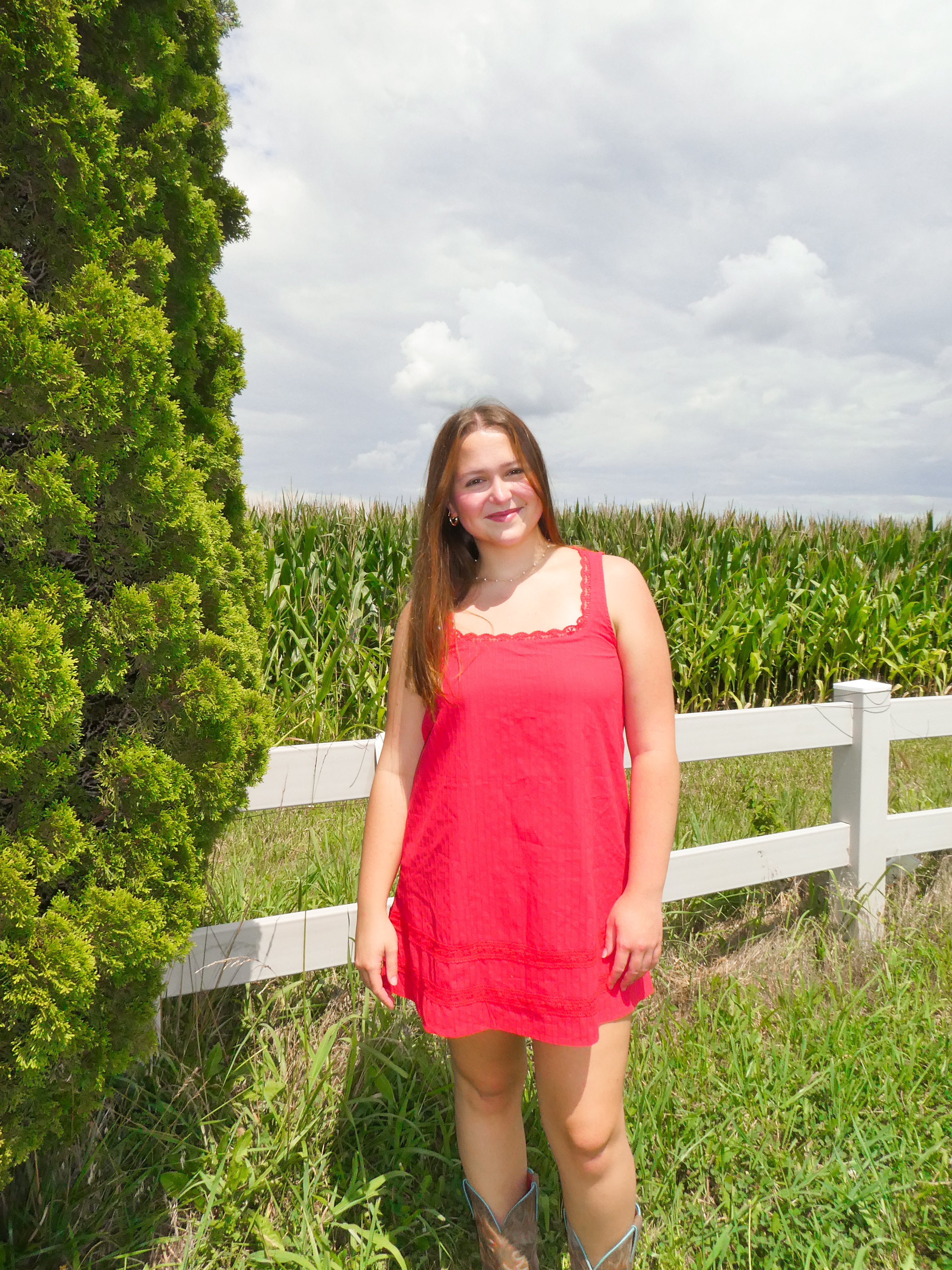 The Scarlet Dress