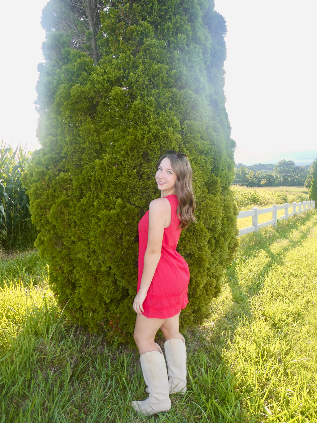 The Scarlet Dress