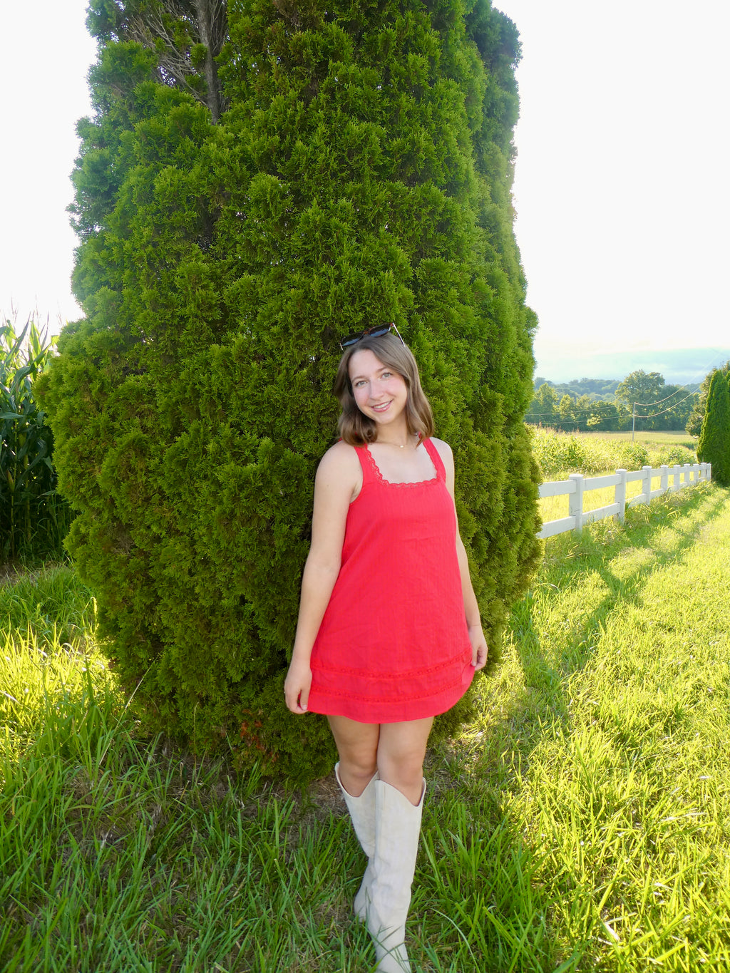 The Scarlet Dress