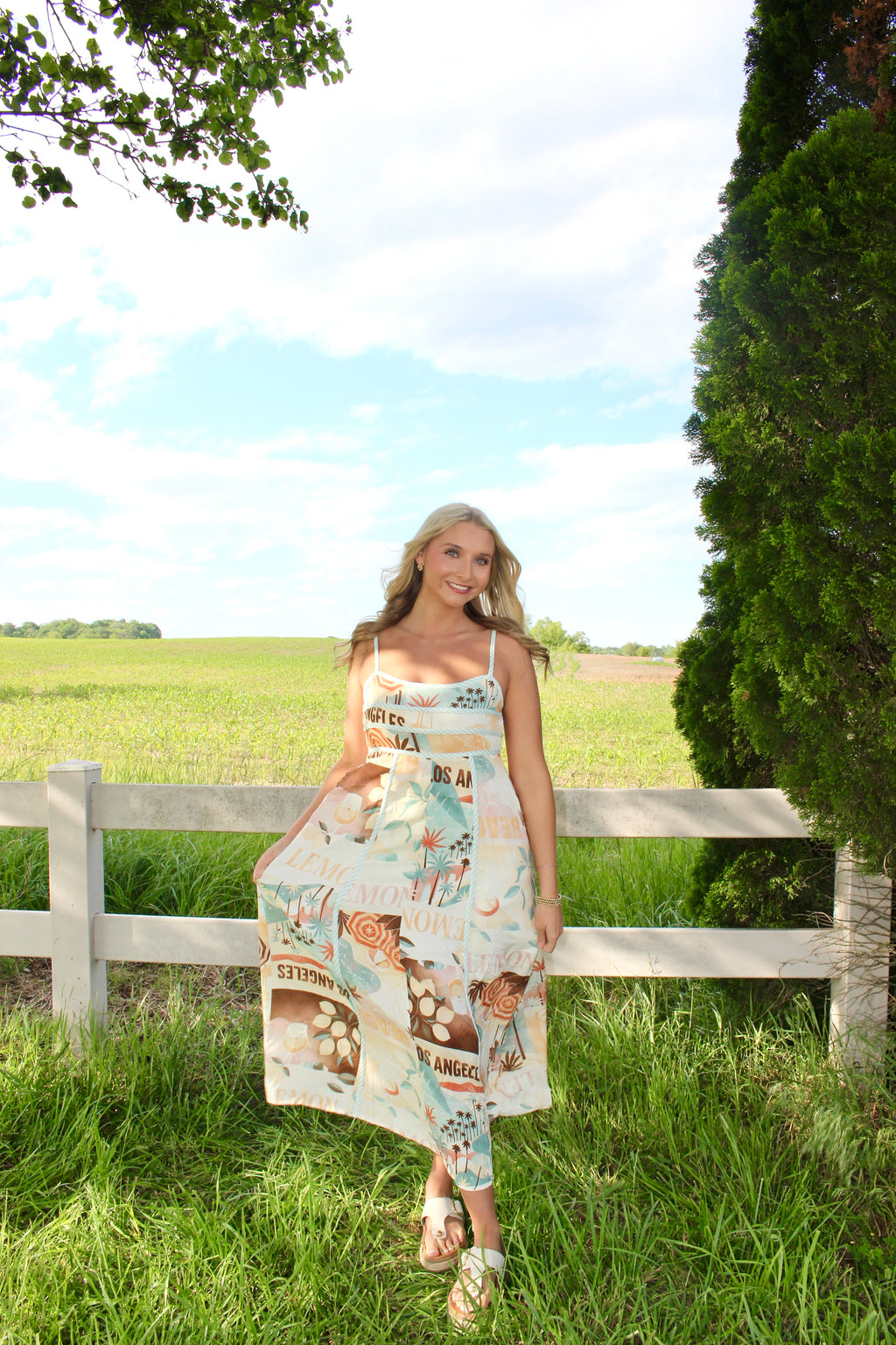 Postcard Paradise Dress