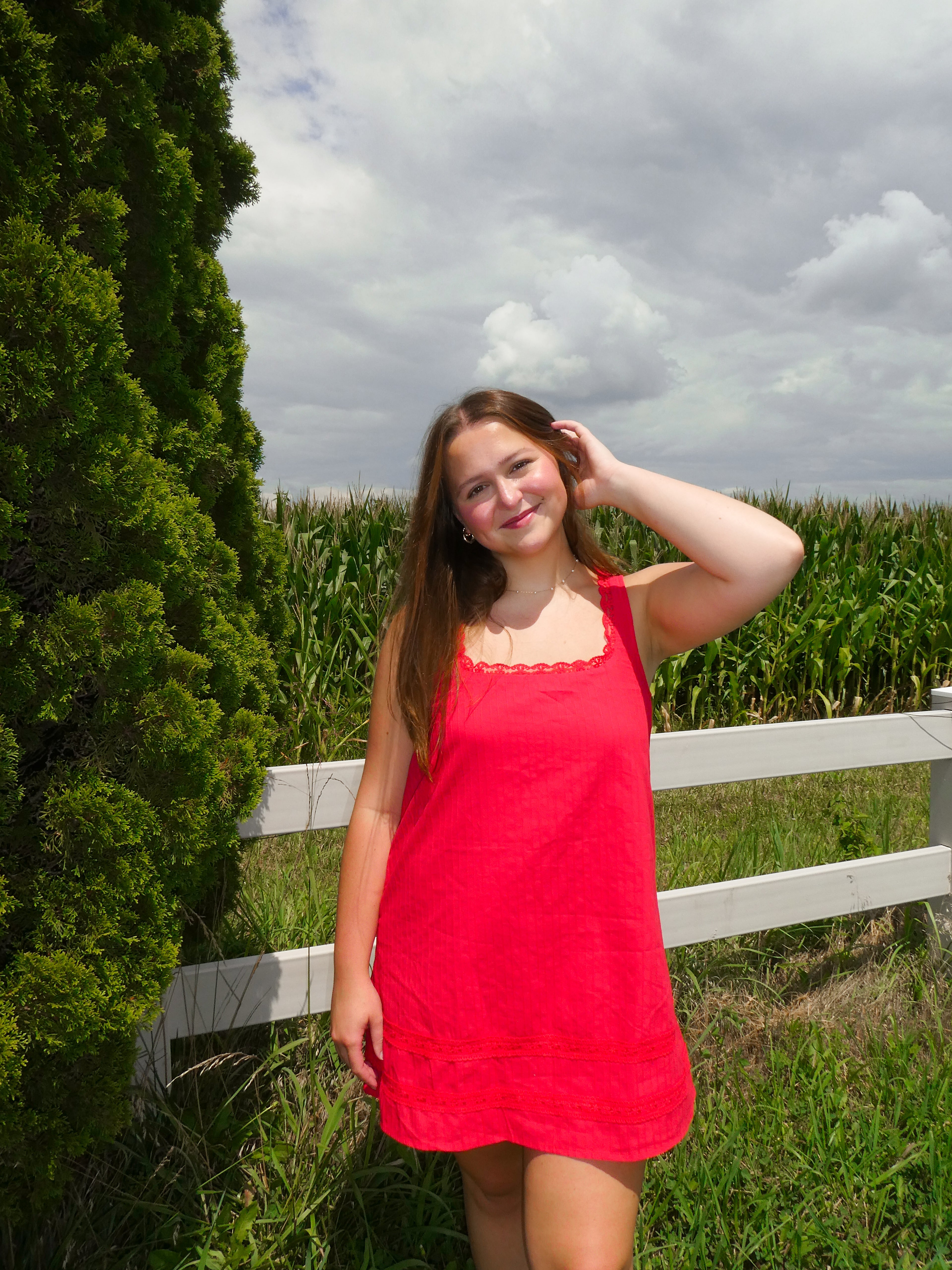 The Scarlet Dress