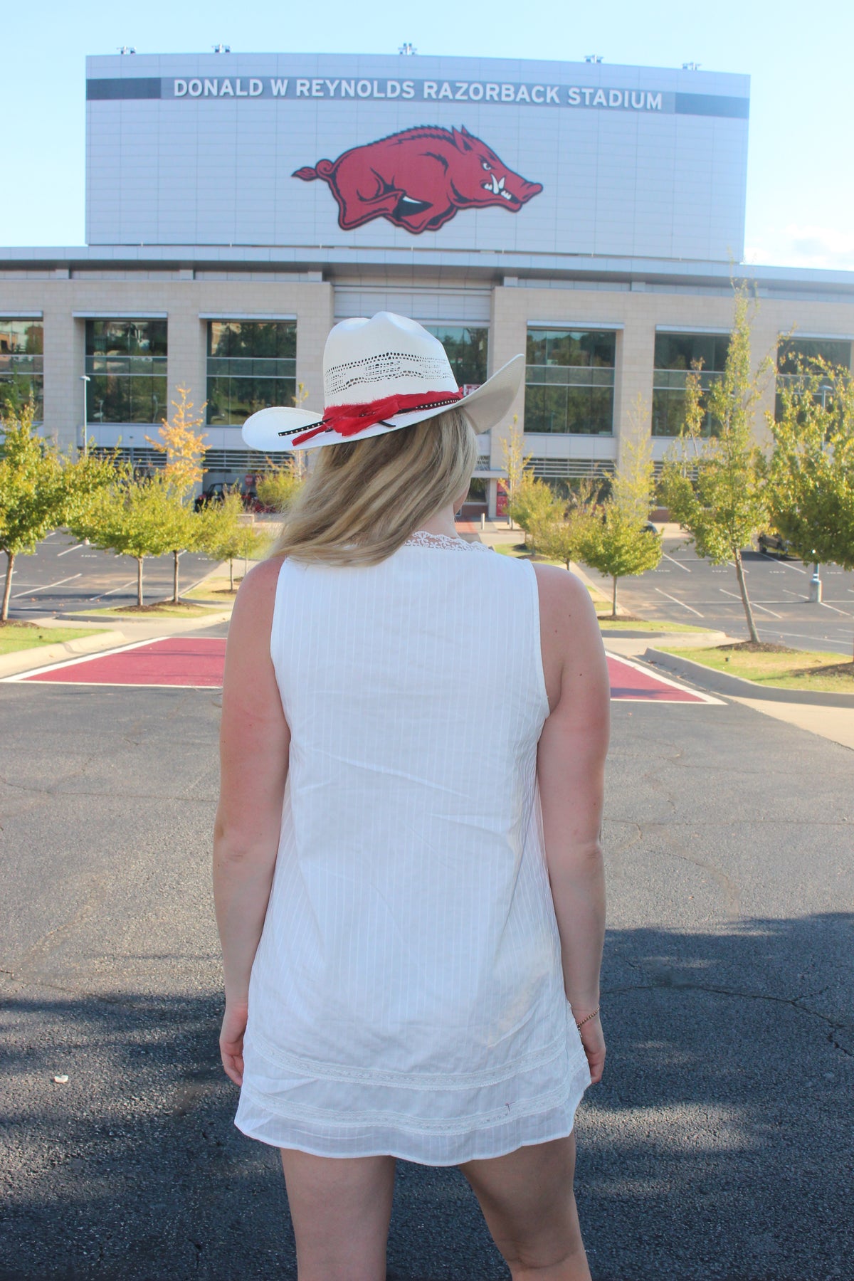 The Scarlet Dress