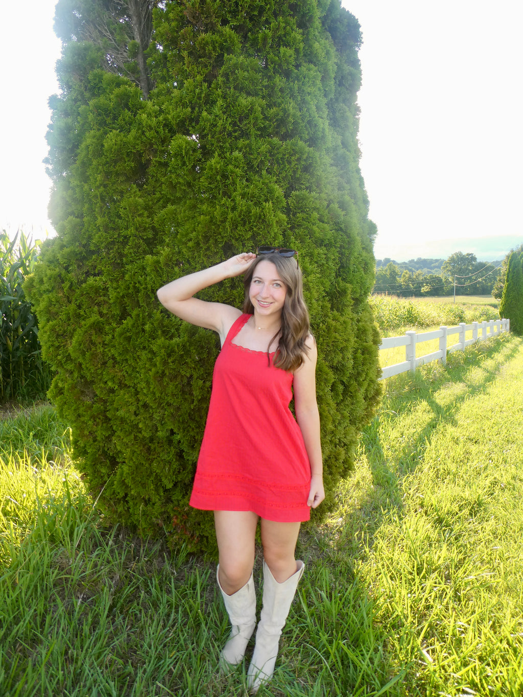 The Scarlet Dress